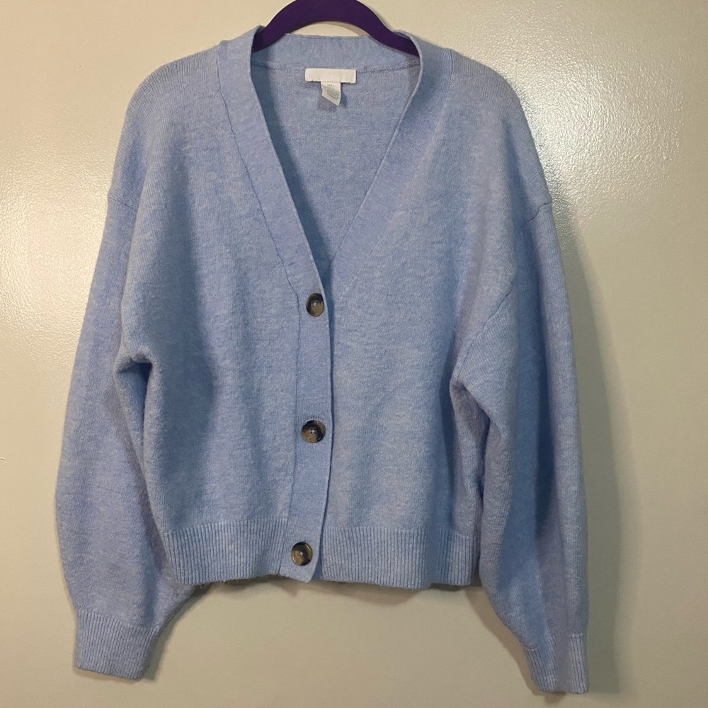 H&M baby blue cardigan sweater
